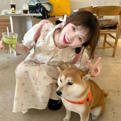 说得好，小猫咪！