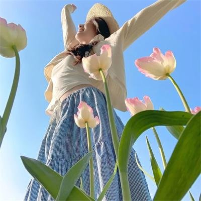 风流十七年