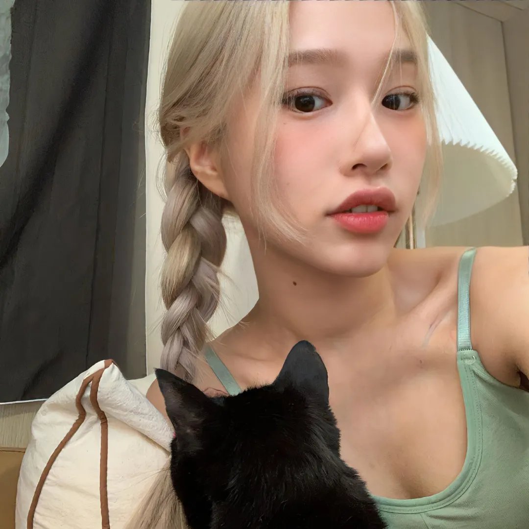 缉拿杨枪枪